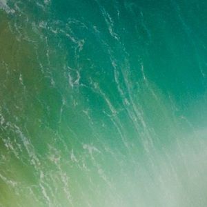 Meet your Posher, Bernardo