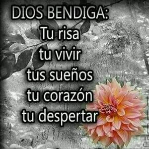 Meet your Posher, Lucero