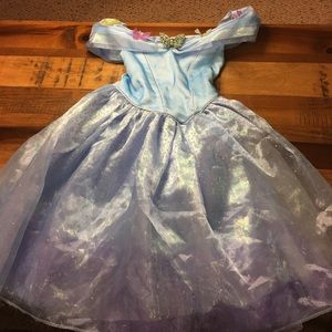 Disney Princess Costume
