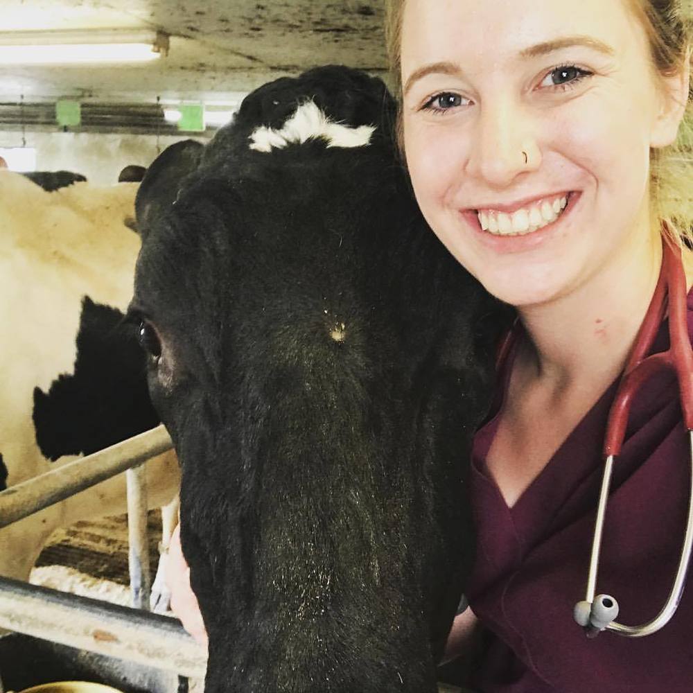 Meet your Posher, Alli