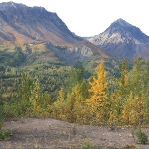 Meet your Posher, Karin