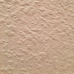 Meet your Posher, Eva