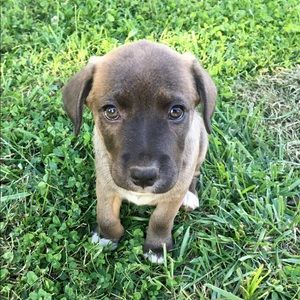 Meet your Posher, Cynthia