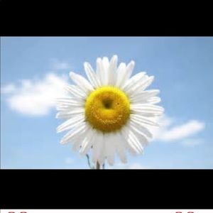 Gift for a wonderful friend