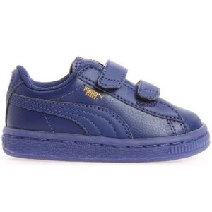 puma basket kids