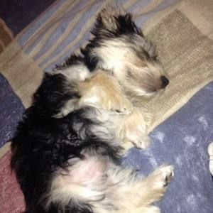 Meet your Posher, Caleb