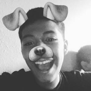 Meet your Posher, Hector