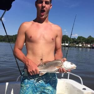 Meet your Posher, Johnny