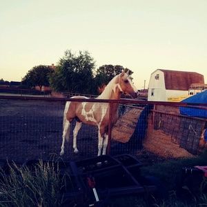 Meet your Posher, Jerry