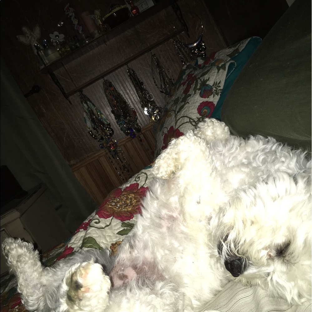 Meet your Posher, Annette