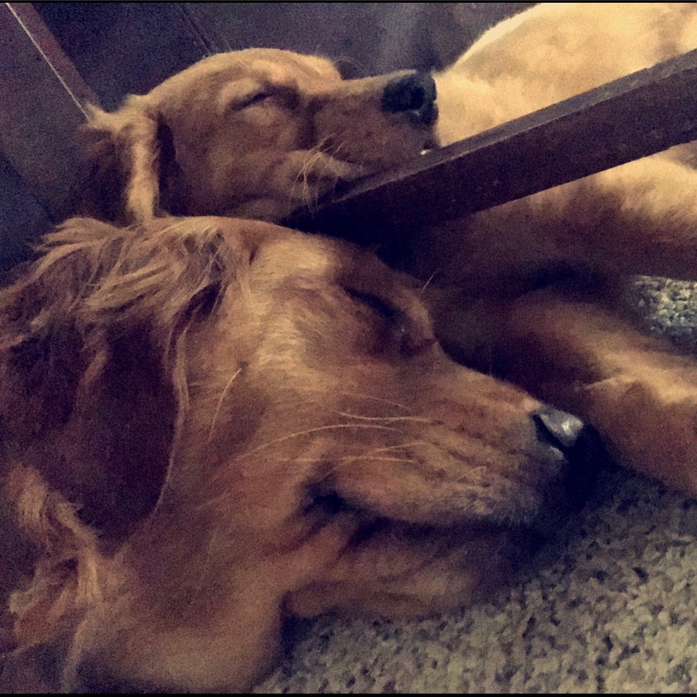 Meet your Posher, Megan