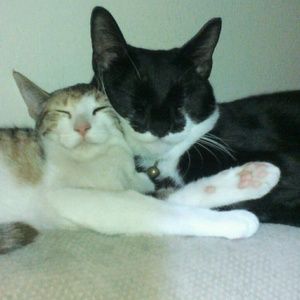 Meet your Posher, Lisandra