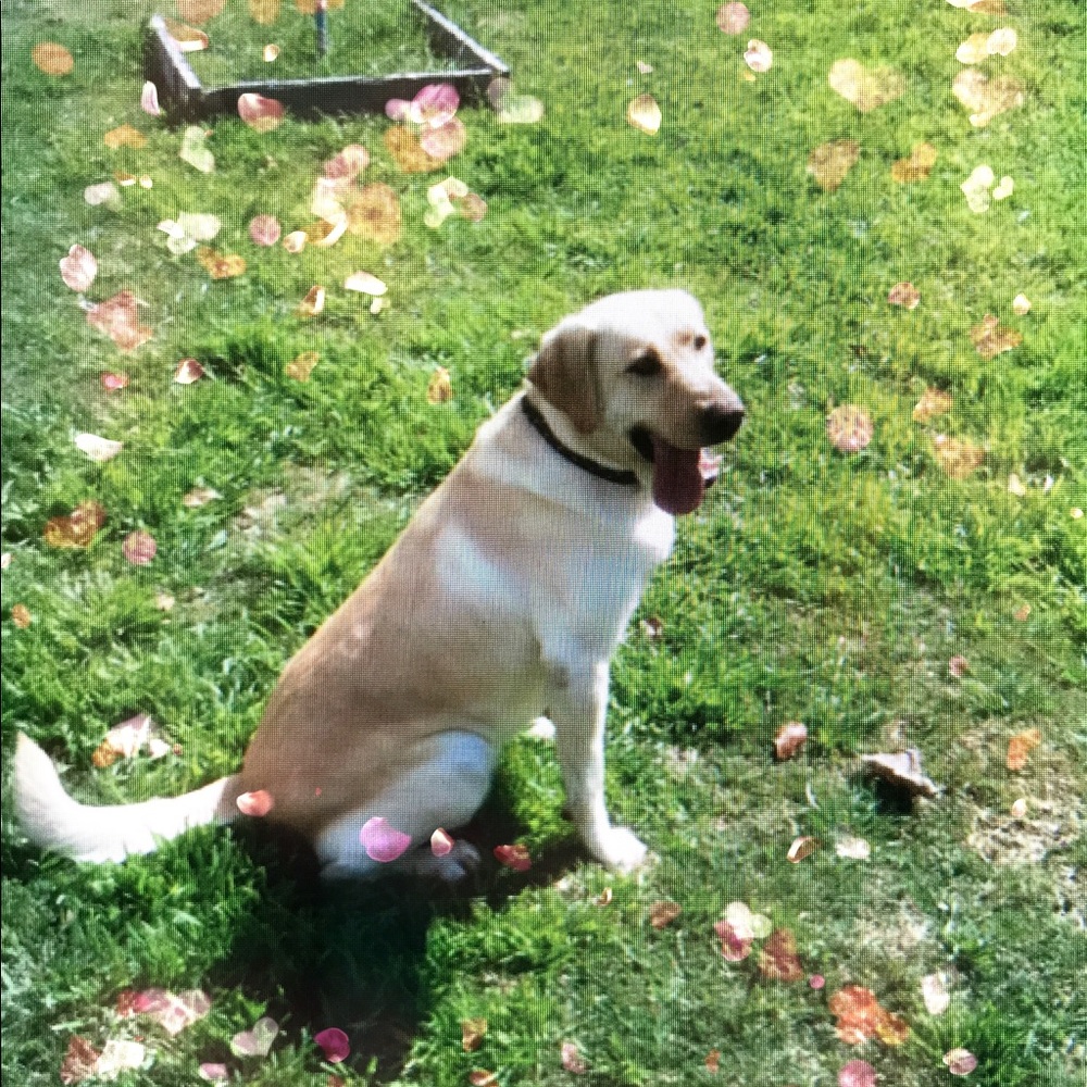 Meet your Posher, Tiff