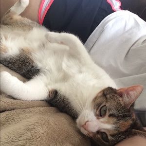 Meet your Posher, Marianne