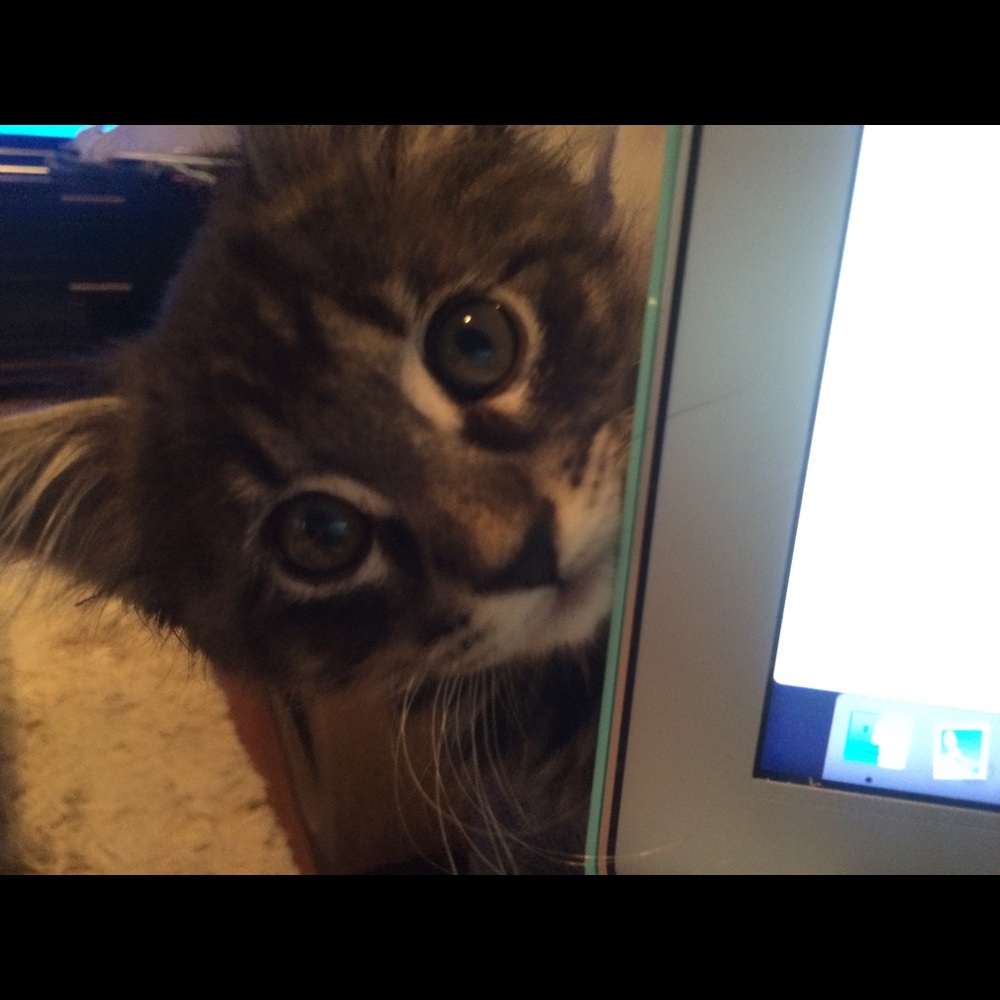 Meet your Posher, Megan