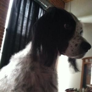 Meet your Posher, Barbara