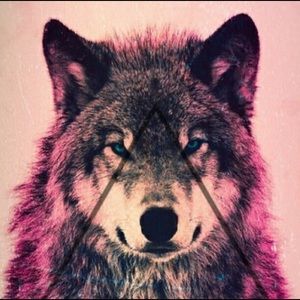 Meet your Posher, Kat