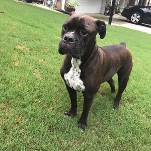 Meet your Posher, Stephen