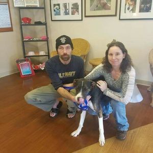 Meet your Posher, Joann