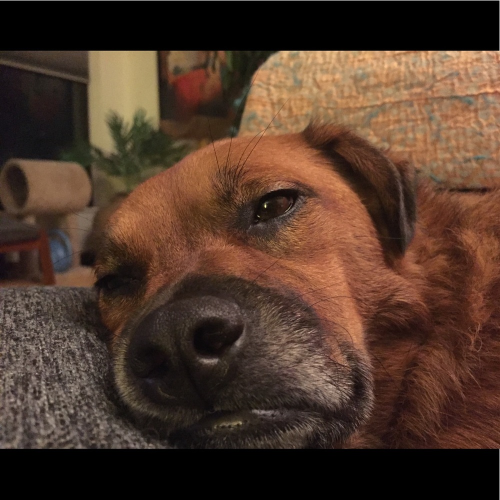 Meet your Posher, Vanessa