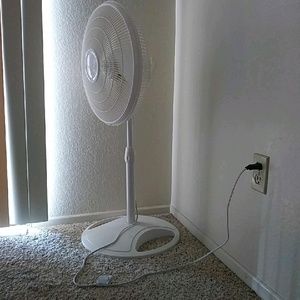 Meet your Posher, Ginge