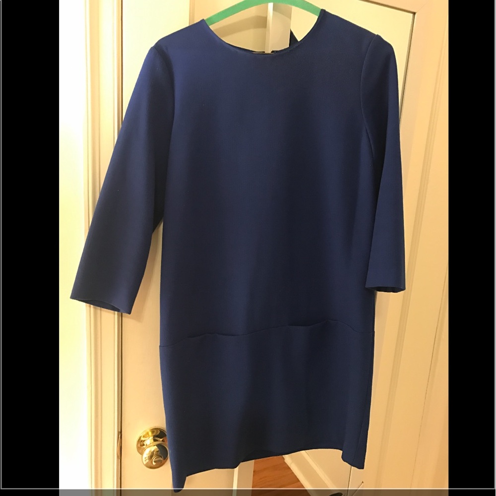Ann Taylor Shift Dress Sz 2