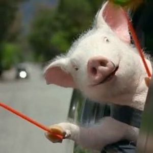 Meet your Posher, Dina