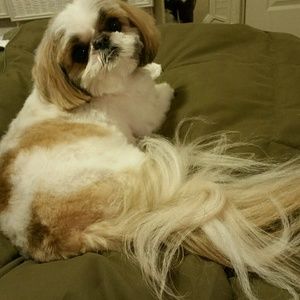 Meet your Posher, Joann