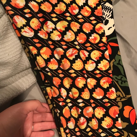 Euc - Picture 4 of 4