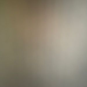 Meet your Posher, Shawn