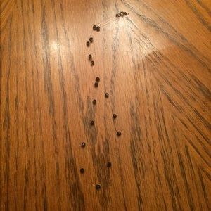 Dainty black beaded illusion necklace!