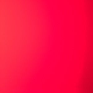 Meet your Posher, Makenzi