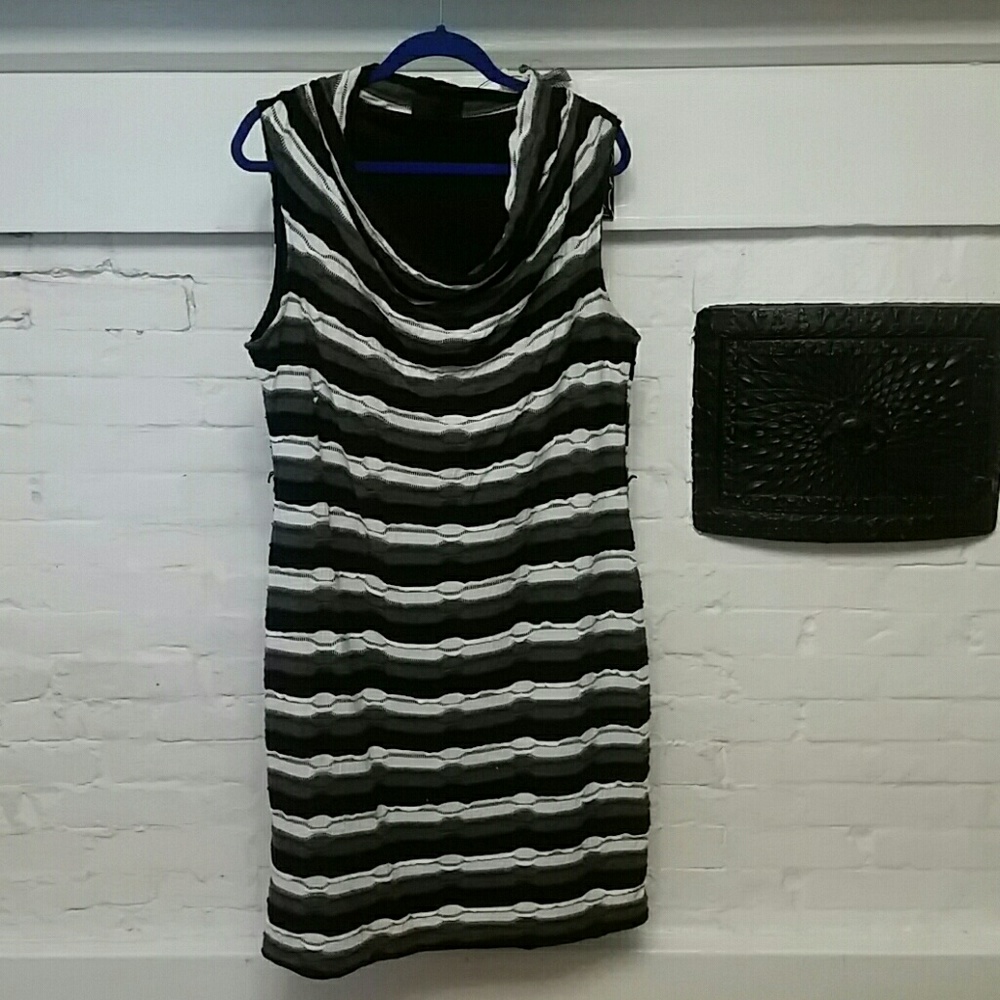 Striped knee length Dana Buchman dress