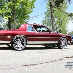 Meet your Posher, Darren