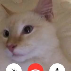 Meet your Posher, Isaac