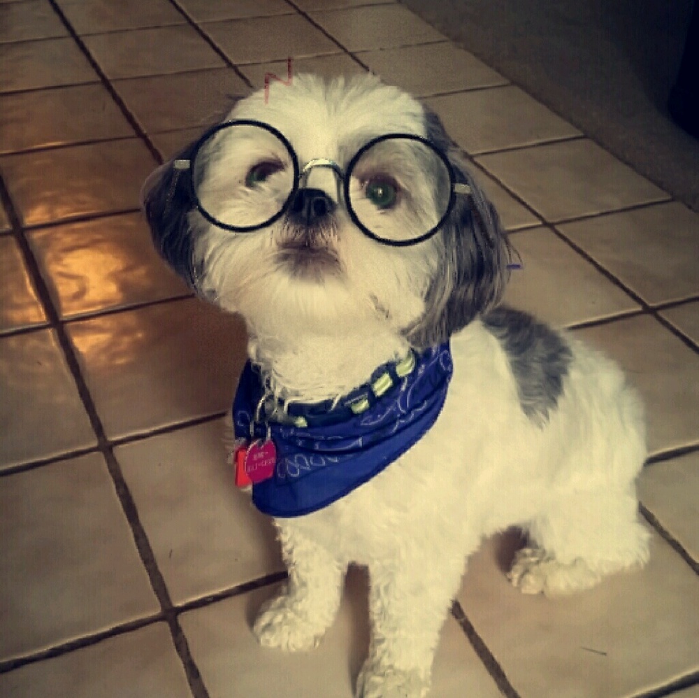 Meet your Posher, Heather