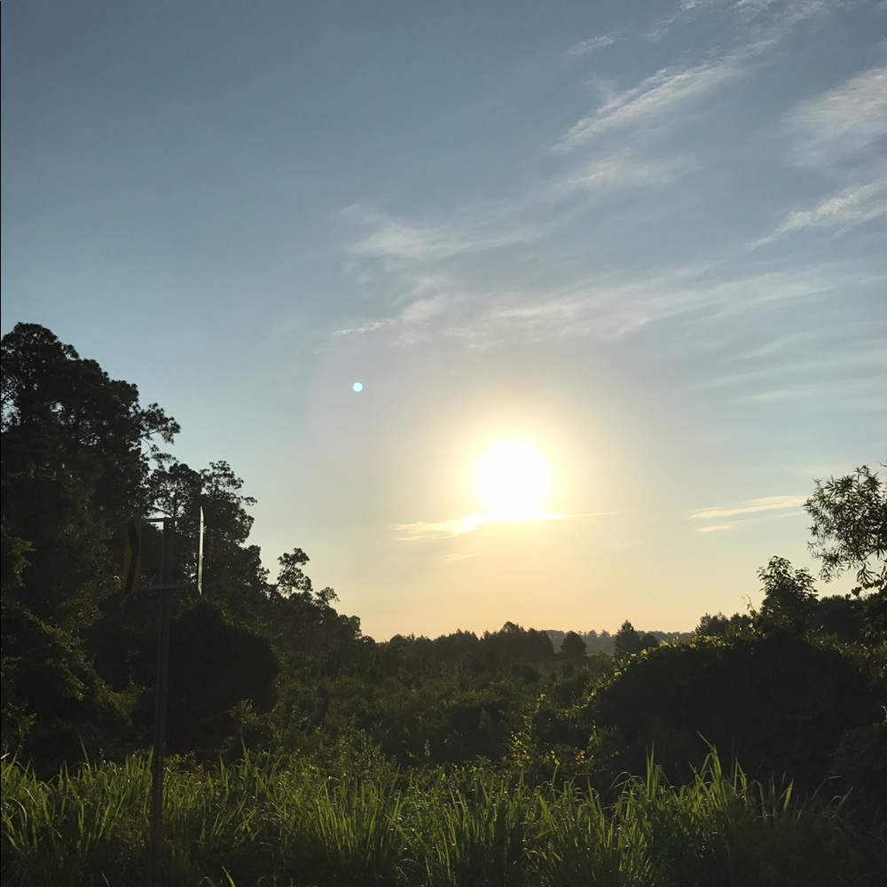 Meet your Posher, Sam