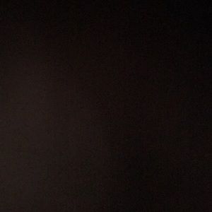 Meet your Posher, Ronald