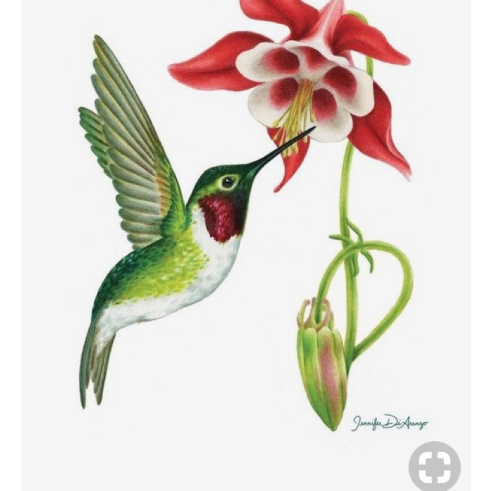 Meet your Posher, Diana