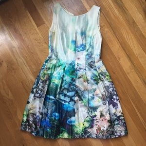 Zara blue aquarium dress