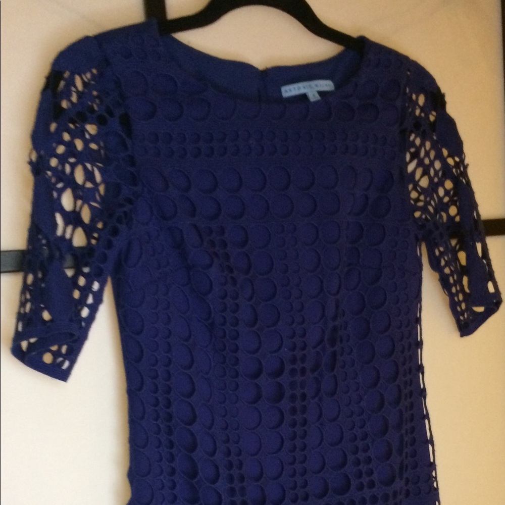 Antonio Melani Dress