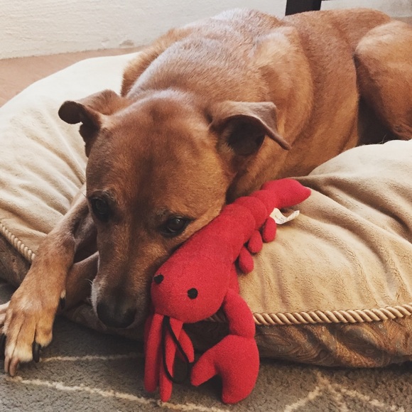 Hi, I'm Megan! - Picture 3 of 8