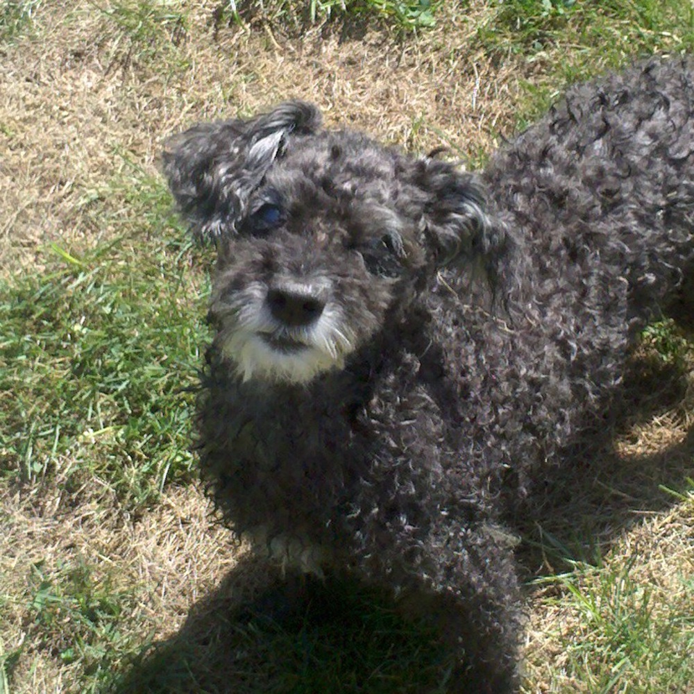 Meet your Posher, Marie