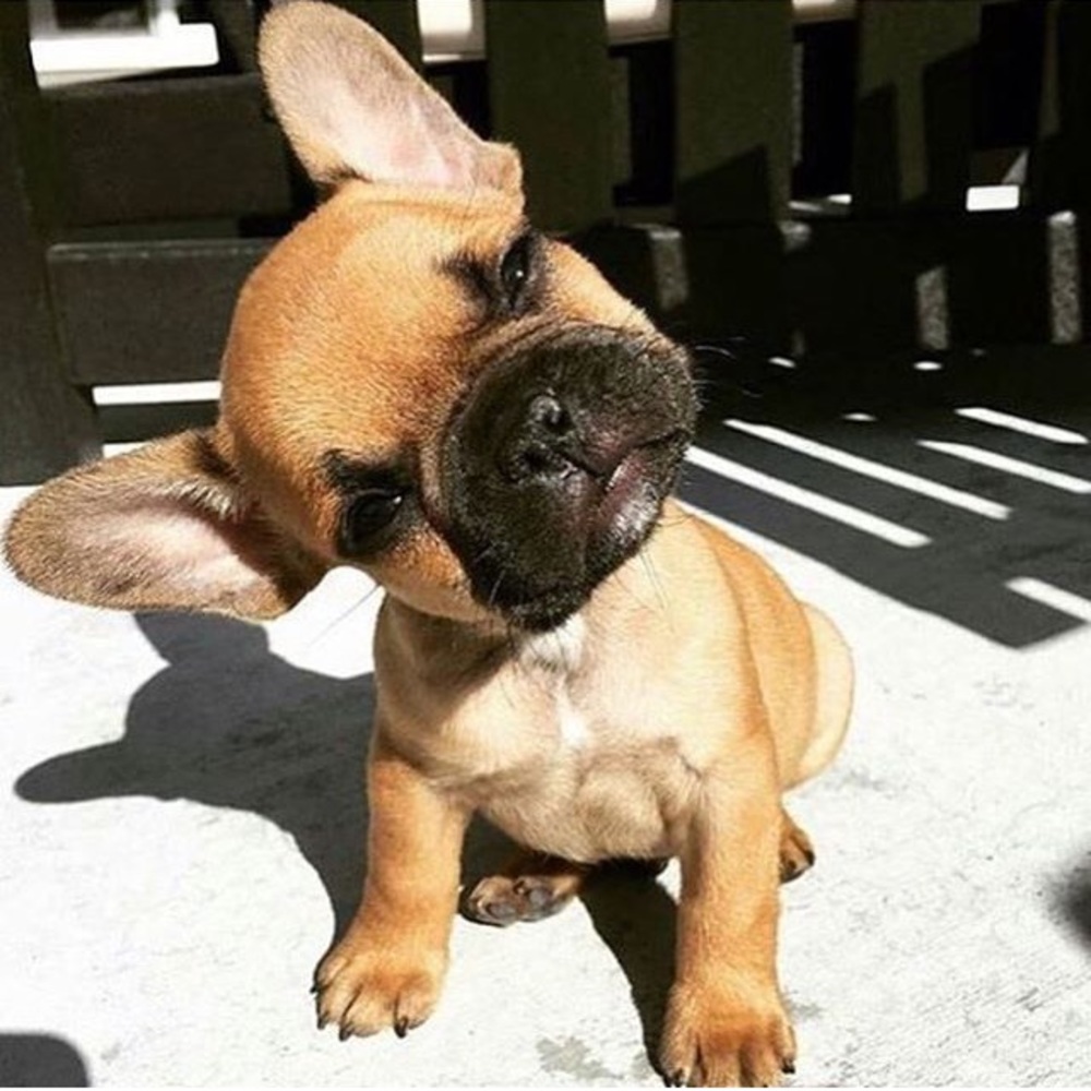 Meet your Posher, Krystie