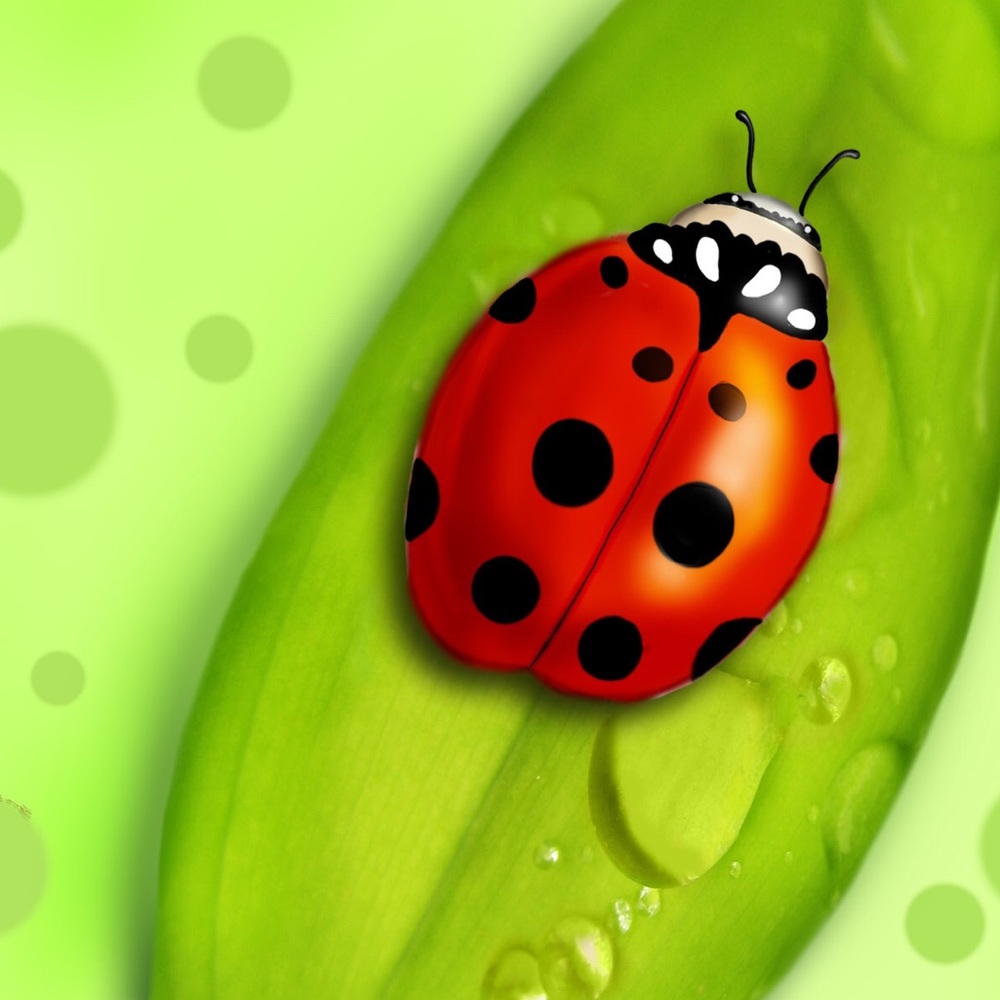 Meet your Posher, Miriam