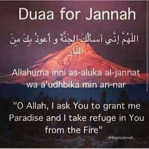 Meet your Posher, Halima