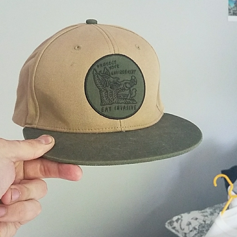 Patagonia Snapback