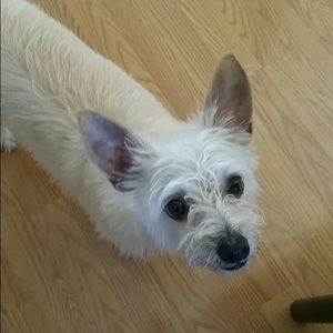 Meet your Posher, Chelsea