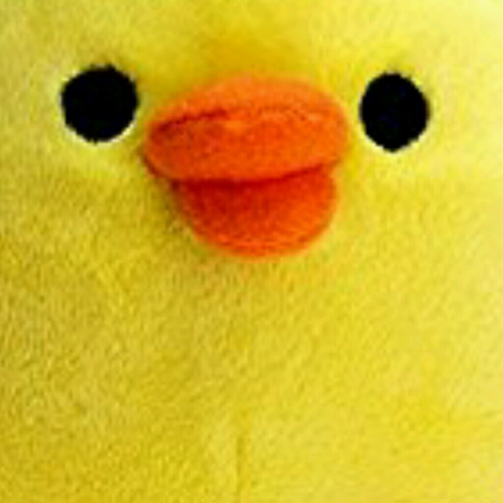 Meet your Posher, Heidi