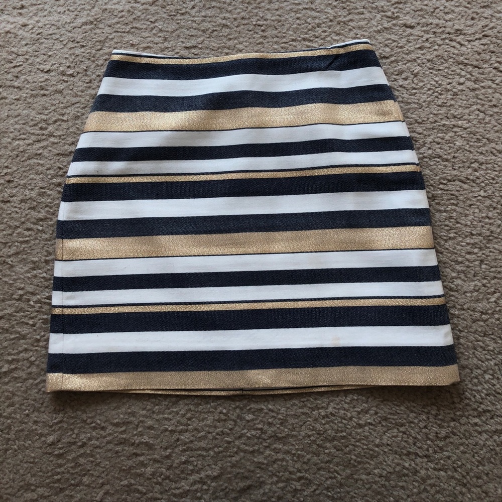 J.Crew Skirt
